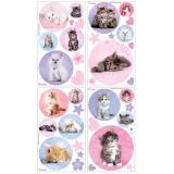 Kitty Dots sein�tarrat