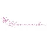 Believe in miracles seinätarra